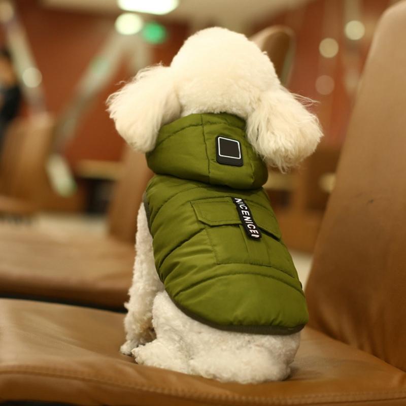 Manteau pour chien de petite taille