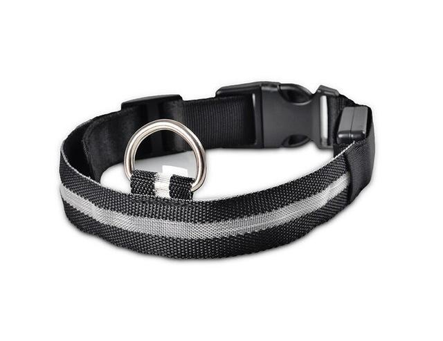 Collier Lumineux Pour Chiens