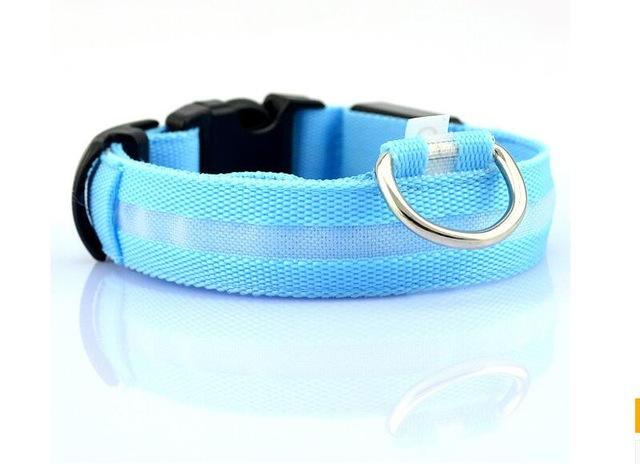 Collier Lumineux Pour Chiens