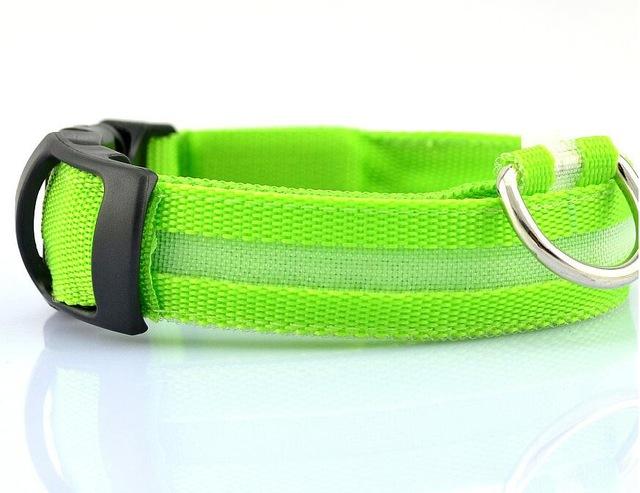 Collier Lumineux Pour Chiens