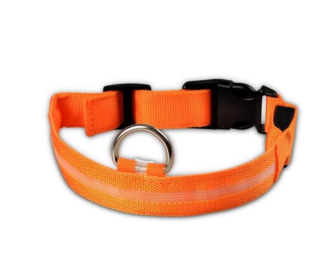 Collier Lumineux Pour Chiens