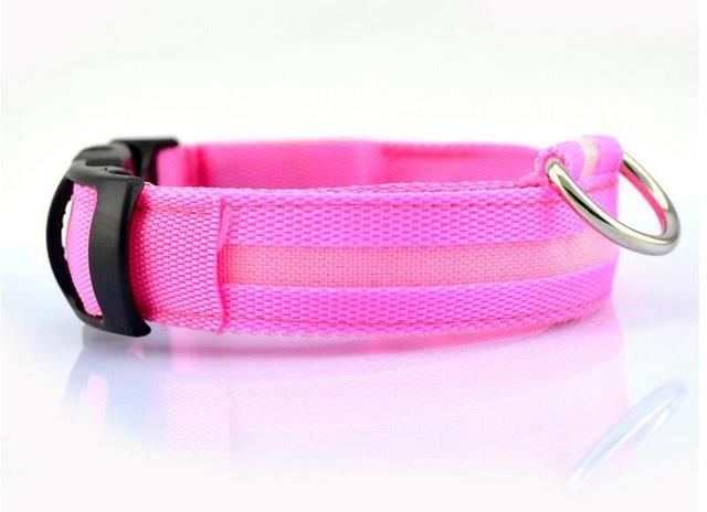 Collier Lumineux Pour Chiens