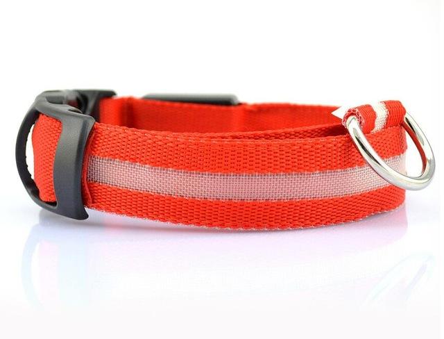 Collier Lumineux Pour Chiens