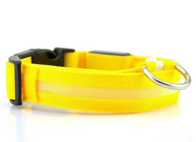 Collier Lumineux Pour Chiens