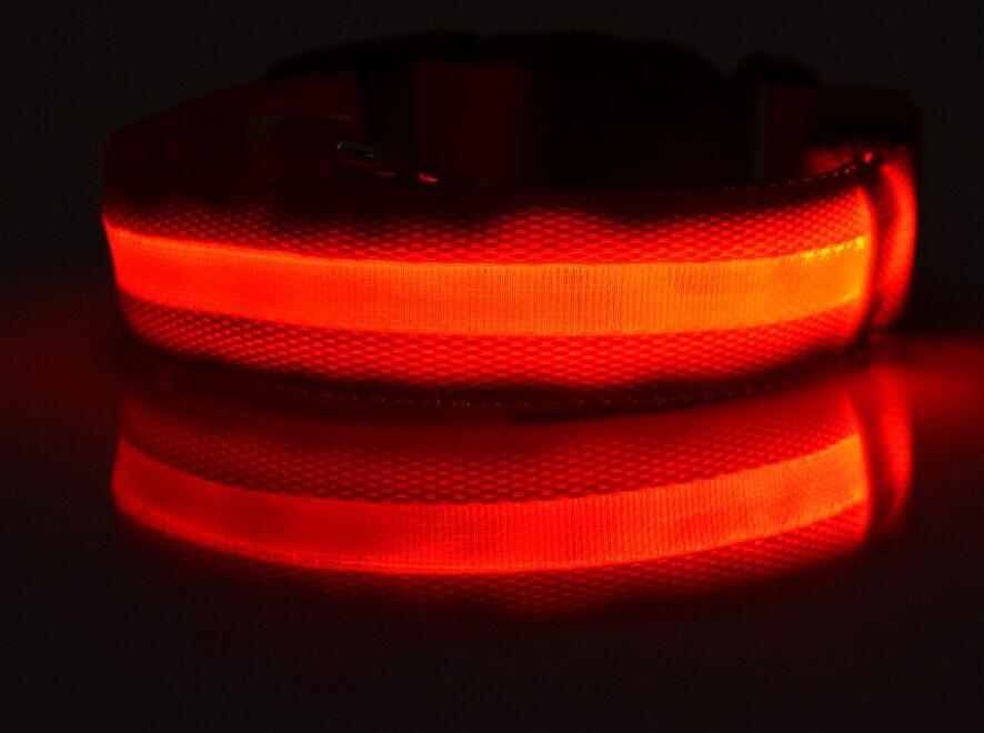 Collier Lumineux Pour Chiens