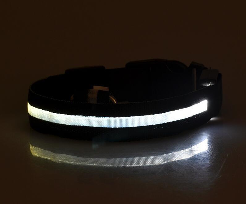 Collier Lumineux Pour Chiens