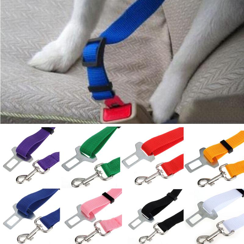 Ceinture de sécurité pour chien/chat