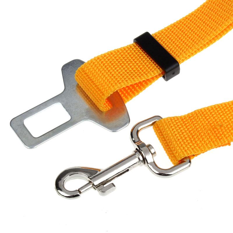 Ceinture de sécurité pour chien/chat