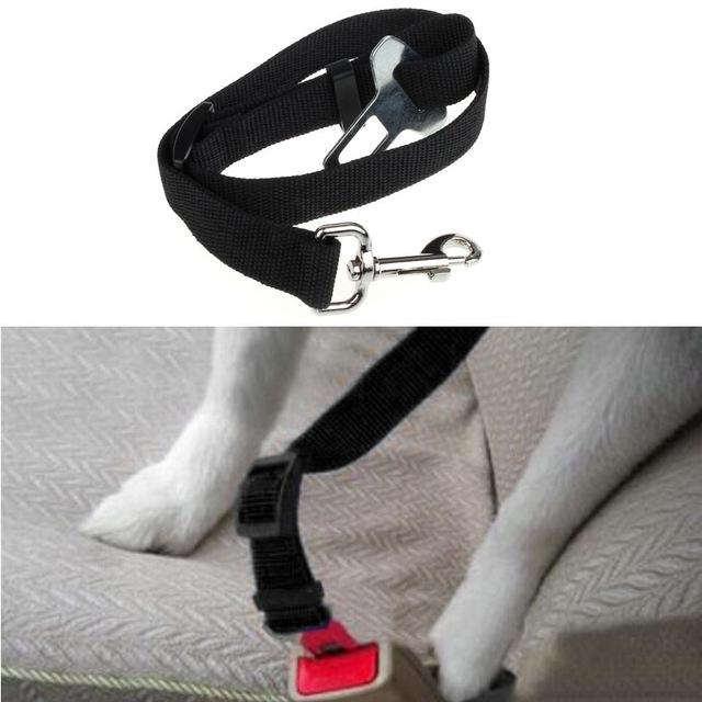 Ceinture de sécurité pour chien/chat