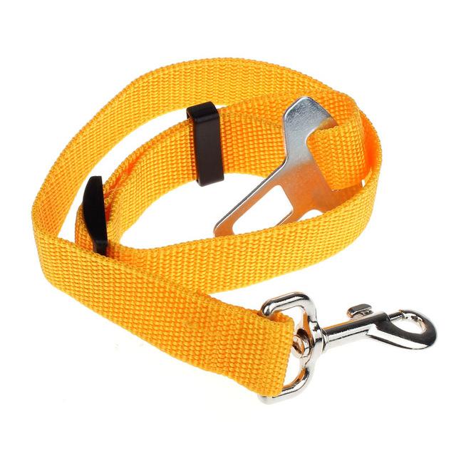 Ceinture de sécurité pour chien/chat