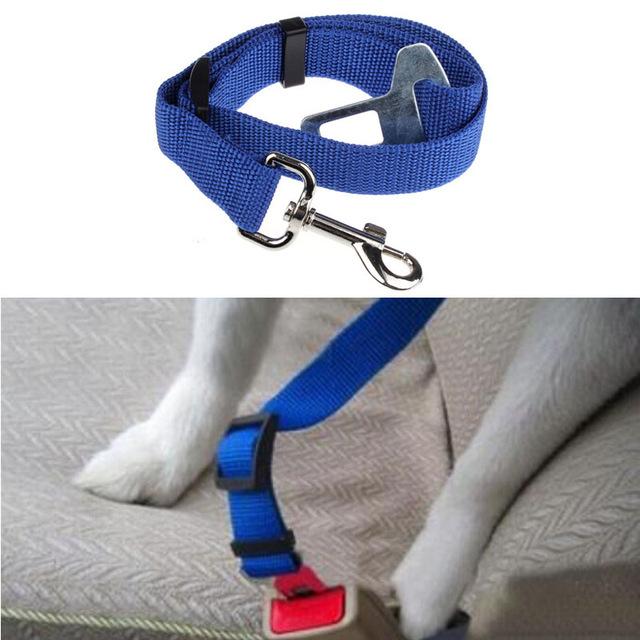 Ceinture de sécurité pour chien/chat