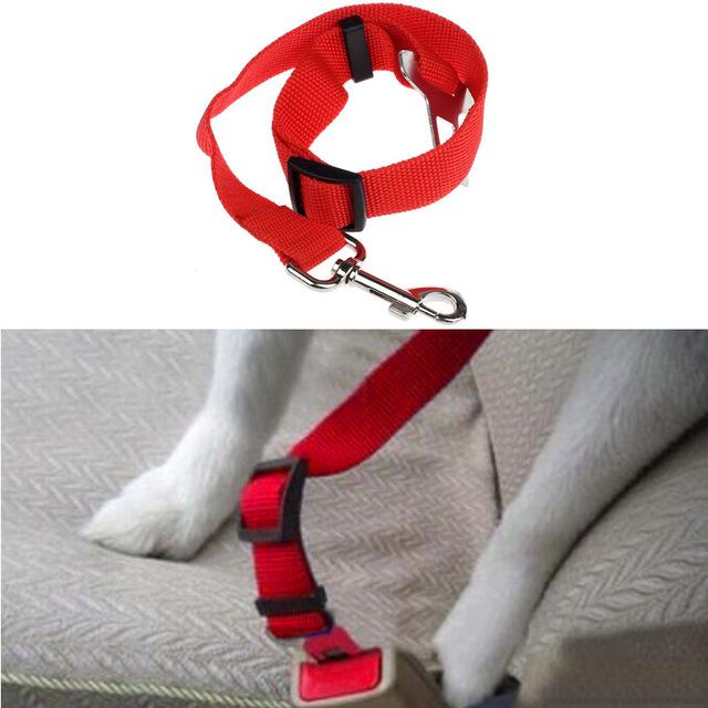 Ceinture de sécurité pour chien/chat