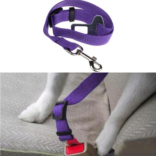 Ceinture de sécurité pour chien/chat