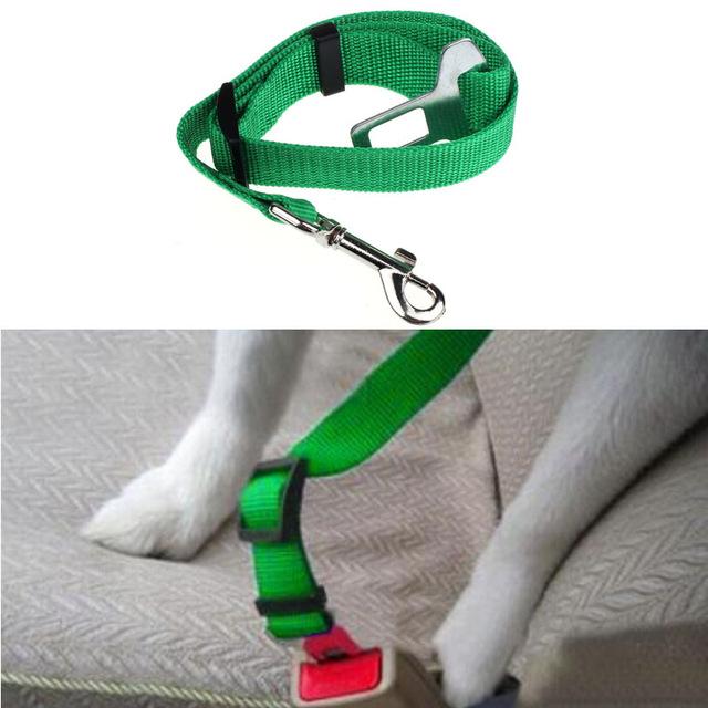 Ceinture de sécurité pour chien/chat