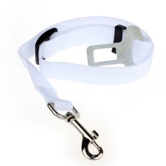 Ceinture de sécurité pour chien/chat