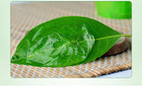Gel Aloe Vera 99%