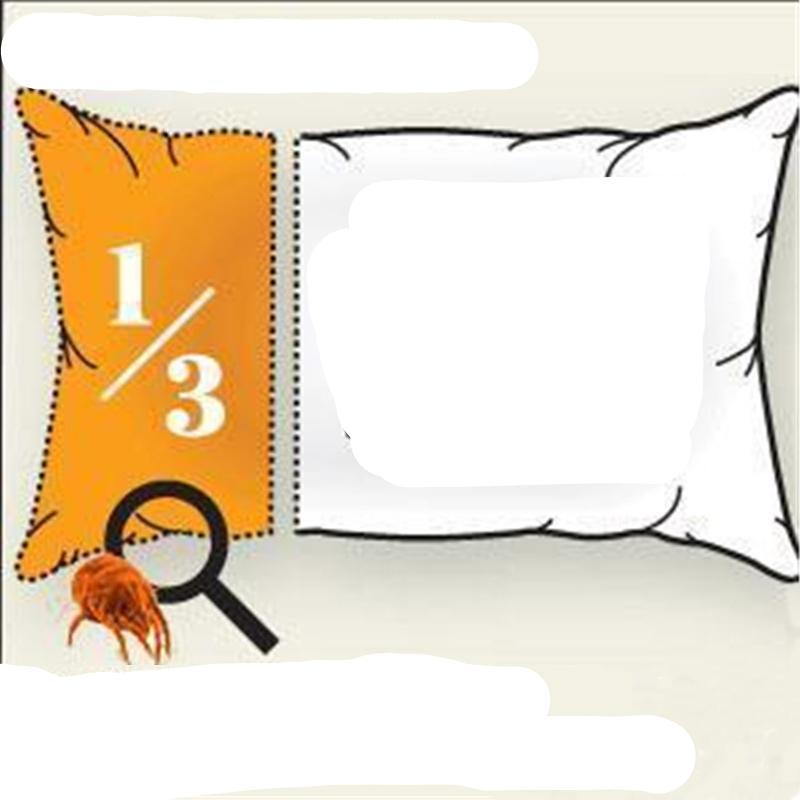 2 sachets d’anti-acariens naturels