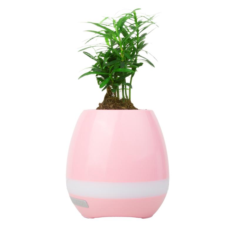 Vase enceinte bluetooth  LED