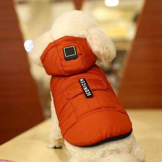 Manteau pour chien de petite taille
