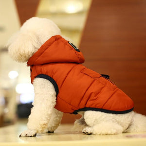 Manteau pour chien de petite taille