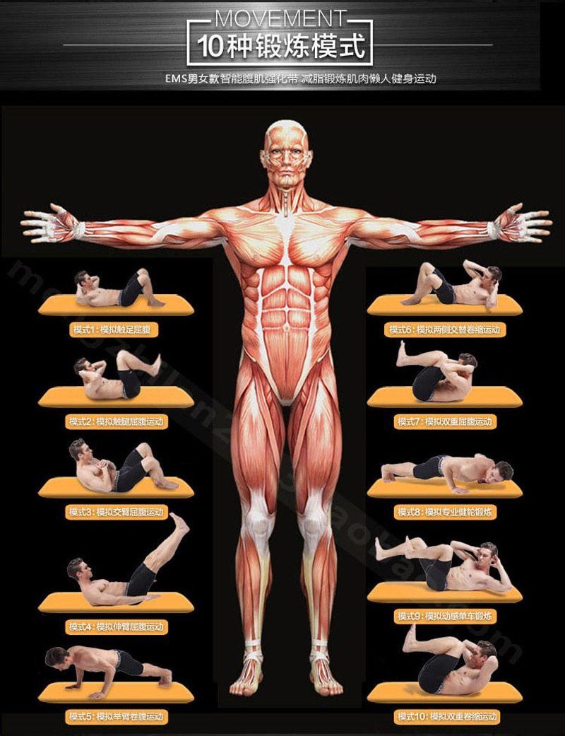 Ceinture Abdominale À Electro-Stimulation Sans Fils (150 Niveaux D'intensité!)