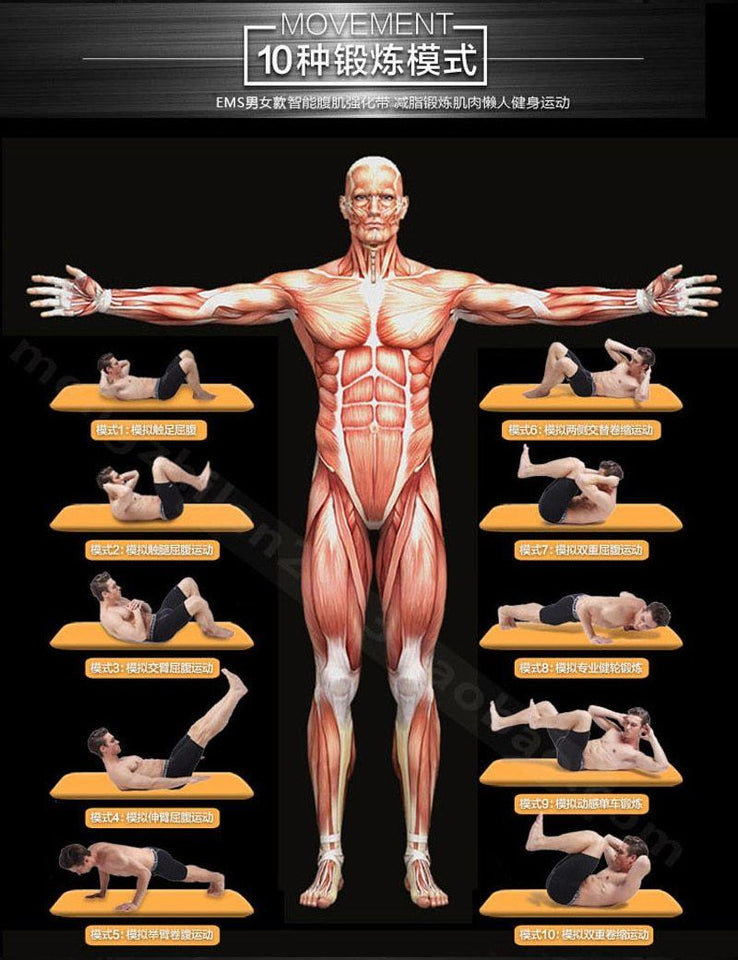 Ceinture Abdominale À Electro-Stimulation Sans Fils (150 Niveaux D'intensité!)
