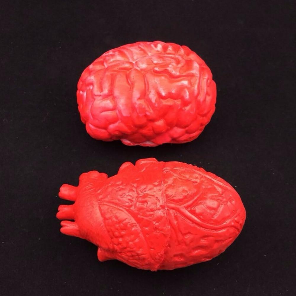 Faux Organes Pour La Décoration D’Halloween