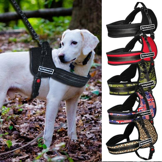 Harnais Tout Terrain  pour chiens