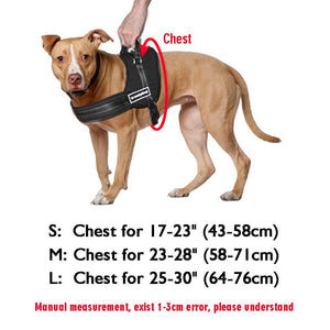 Harnais Tout Terrain  pour chiens