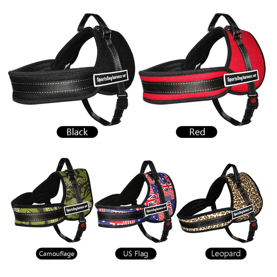 Harnais Tout Terrain  pour chiens