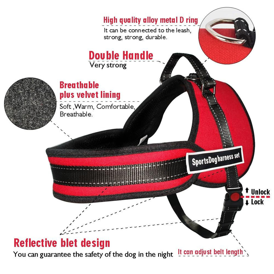 Harnais Tout Terrain  pour chiens