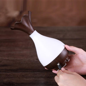 Humidificateur d’air multifonctions