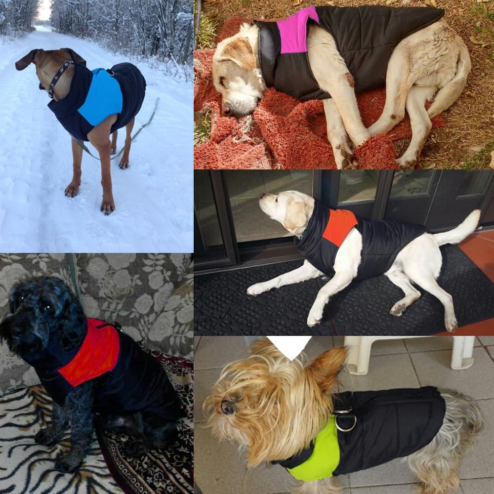 Gilet Imperméable Pour Chien