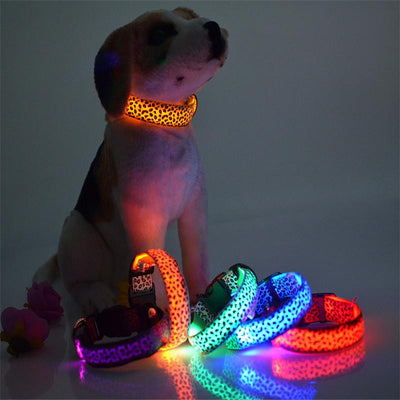 Collier Lumineux Pour Chiens Et Chats