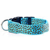 Collier Lumineux Pour Chiens Et Chats