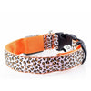 Collier Lumineux Pour Chiens Et Chats