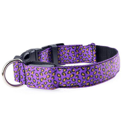 Collier Lumineux Pour Chiens Et Chats