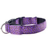 Collier Lumineux Pour Chiens Et Chats