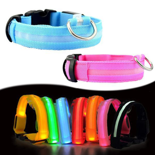 Collier Lumineux Pour Chiens