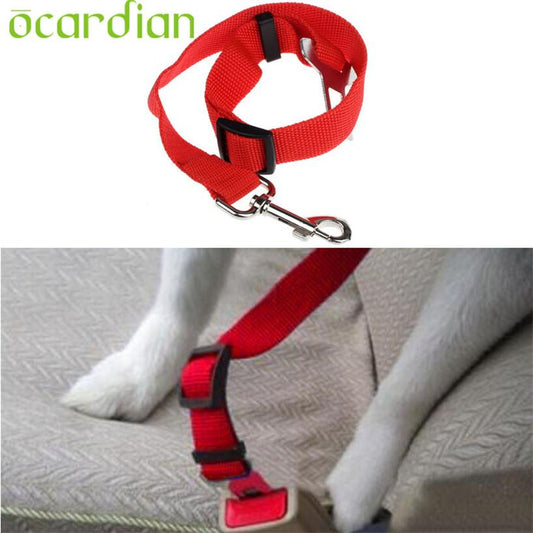 Ceinture de sécurité pour chien/chat